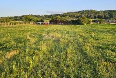 Teren Construcții intravilan de 1495 mp, în Dobreni - 28