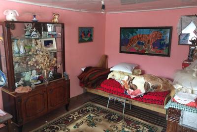 Casă cu 4 camere în Rădulești - 5