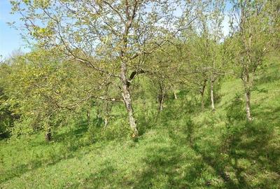 Teren intravilan si cladire in Apuseni, Blajeni, Hd Teren intravilan si cladire in Apuseni, Blajeni, Hd - 17