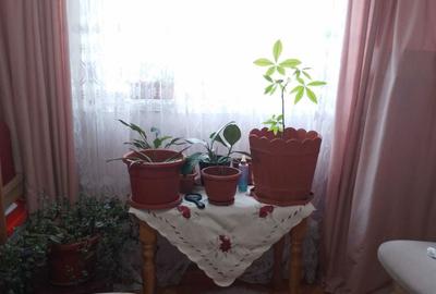 Apartament cu 2 camere decomandat în Central - 7