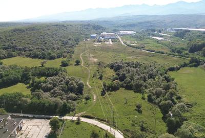 Parcele teren industrial, hale parcul industrial Marșa - 2