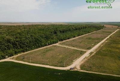 Teren premium, intre doua paduri, acces asfaltat din DN1A, vizitati eForest! - 2