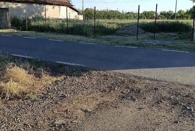 Casă cu 3 camere cu Teren 1400 Mp în Dorobanți - 7