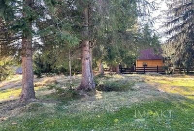 Teren Intravilan de 3300 mp de Vanzare in Marisel - 3