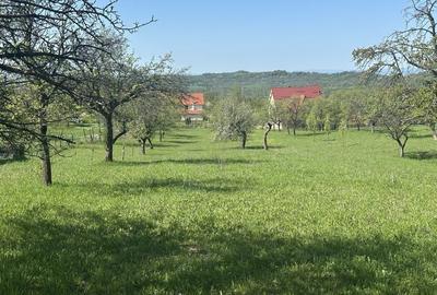 Spațiu comercial, în Baia Sprie - 10