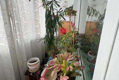 Vind apartament 2 camere zona Darmane?ti Vind apartament 2 camere zona Darmane?ti - 6