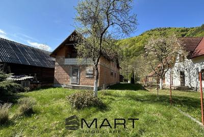 Casa cu teren langa rau Lotrioara