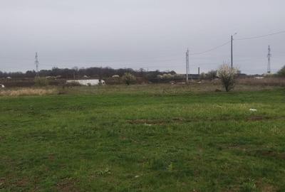 Teren Construcții intravilan de 1667 mp, în Cernica - 2