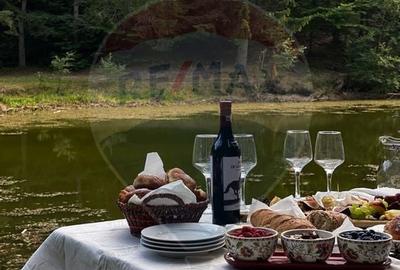 DE VANZARE Pensiune | 12 camere | Bisoca / Buzau - 6