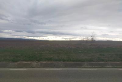 Teren de 5000 mp, în Central - 1