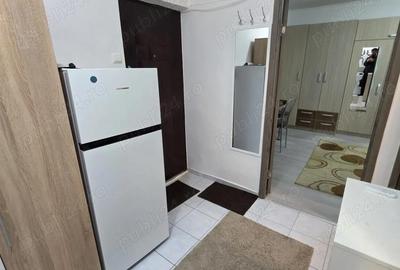 Garsonieră semidecomandată în Vitan - 9