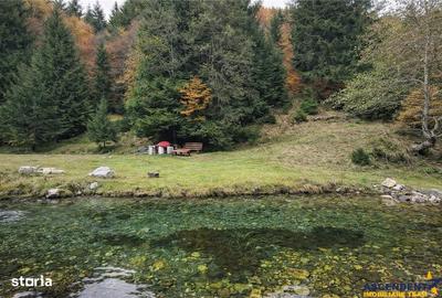 Spațiu comercial, în Central
