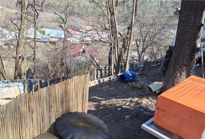 Teren de 2326 mp, în Tarcău - 1