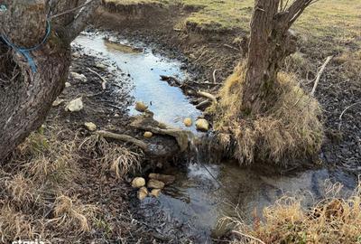 Spațiu comercial, în Bran - 1
