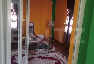 Casa spatioasa in Sanmihaiu de Campie - 13