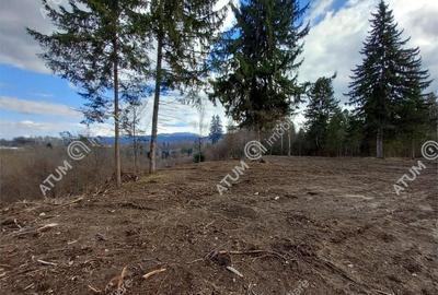 Teren intravilan 1000 mp in Avrig zona Valea Avrigului - 2