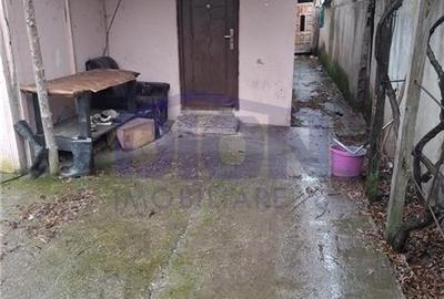 Pantelimon - Tuborg - 13