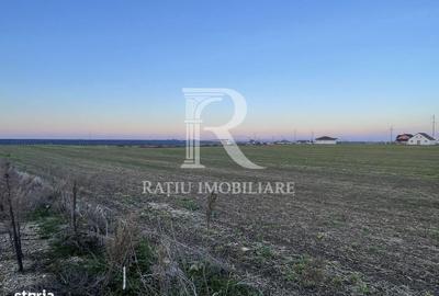 Teren de 500 mp, în Nojorid - 4