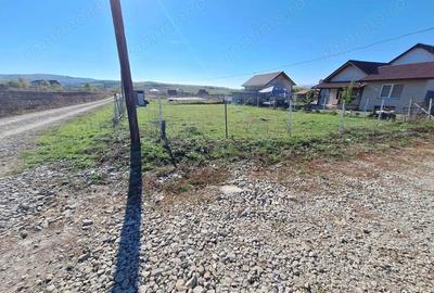 Teren de 393 mp, în Oarda - 3