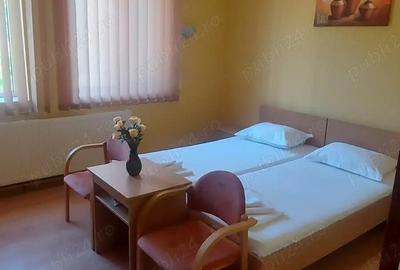 De Vanzare Pensiune Buzias functionala deosebita situate in centrul statiunii - 1