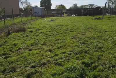 Teren de 1000 mp, în Becicherecu Mic