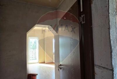 Casa la gri P+M cu anexa - oportunitate unica in Chisineu-Cris! - 24