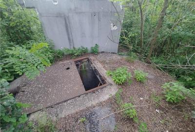 Moldova Noua, Proprietate cu Destinatie Multipla: Hala Productie Procesare a Carnii, Teren Intravila - 11