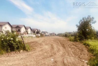 TEREN STRADAL CU UTILITATI | CONSTRUCTII CIVILE | 5000 mp | - 7