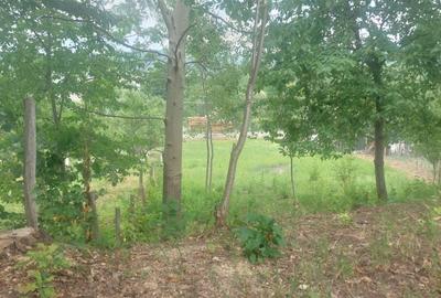 Spațiu comercial, în Curtea de Argeș - 1