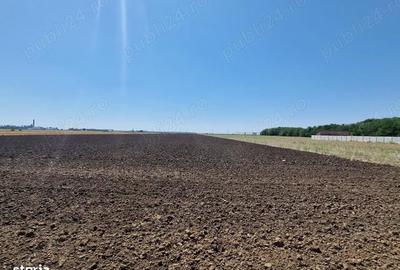 Teren de 60000 mp, în Dragoș Vodă - 1