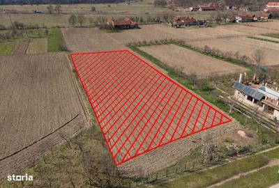Teren de 2970 mp, în Mașloc - 3