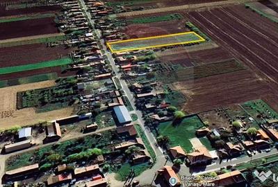 Teren de 5018 mp, în Variașu Mare - 9