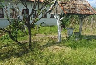 Vand teren ?i casa batraneasca - 1