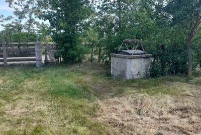 Vand casa ?i gradina mare. - 1