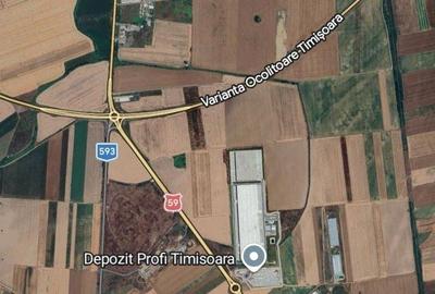 Teren de 30000 mp, în Șag