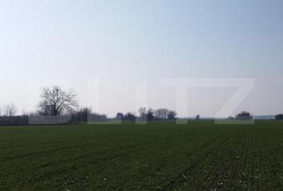 Teren 12223mp, deschidere 27mp, intravilan, Berceni - 1