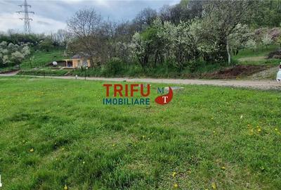 Teren de 575 mp, în Meteș - 6