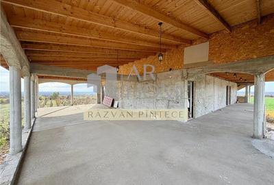 Pensiune 6 camere, teren 12713 mp, Dealul Mare, Urlati, Prahova - 16