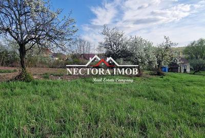 Casă cu 2 camere cu Teren 951 Mp în Paleu - 1