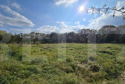 Teren intravilan 1200mp potrivit pentru o casuta de vacanta - 3