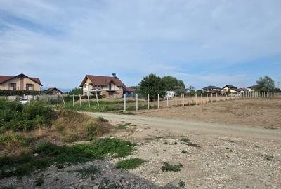 Teren curți - construcții, cartier Șișești - 3