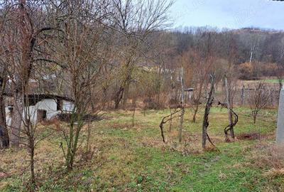 Casă cu 3 camere în Vladimir - 2