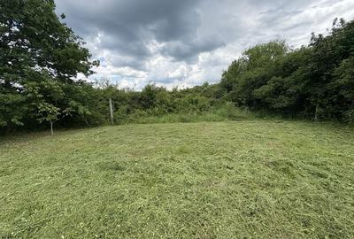 Spațiu comercial, în Centura - 3