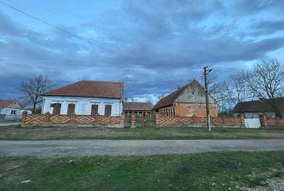 Casă în Drăgoiești - 3