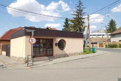 Spațiu comercial, de 60 mp, în Gara Mare - 1