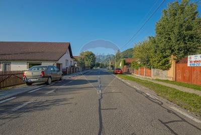Casă cu 3 camere cu Teren 7255 Mp în Vama Buzăului - 11
