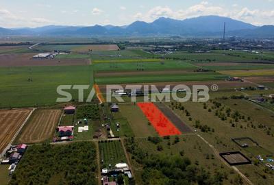 Teren Construcții intravilan de 2900 mp, în Sânpetru - 4