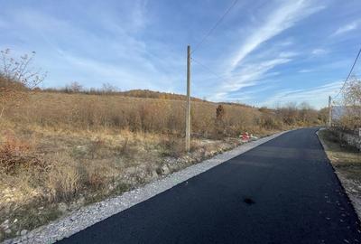 Spațiu comercial, în Eșelnița - 2