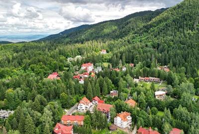 Teren Intravilan Poiana Brasov - 17