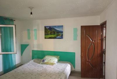 Casa fierbinti targ ialomita - 9